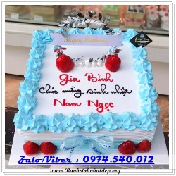 Mẫu Bánh Sinh Nhật Đẹp - A279